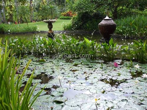 Melia Bali - The Garden Villas 41